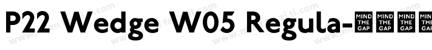 P22 Wedge W05 Regula字体转换